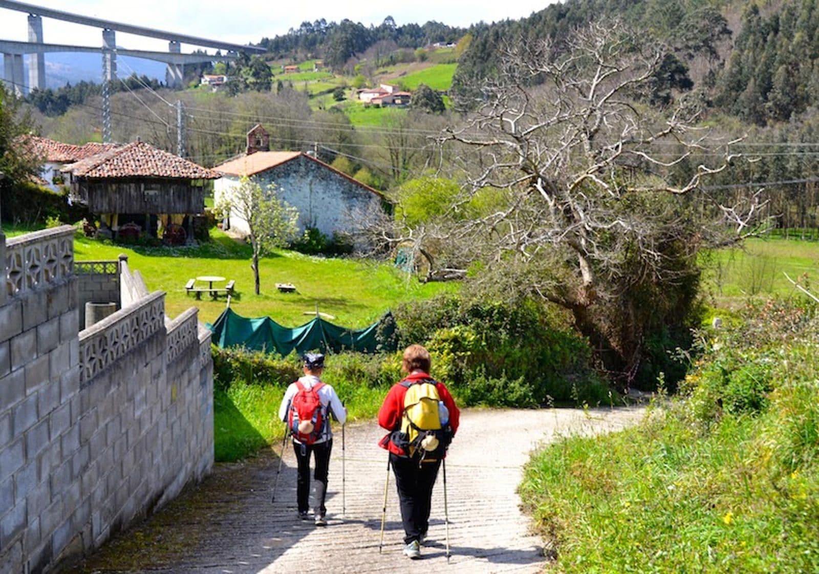 Finca La Campa en Villademar - Cudillero, imagen 6