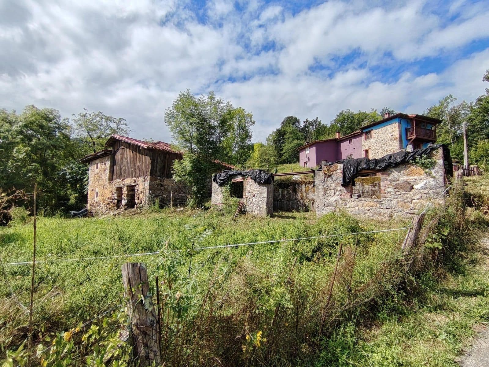 Finca tradicional asturiana en Cangas de Onís, imagen 19