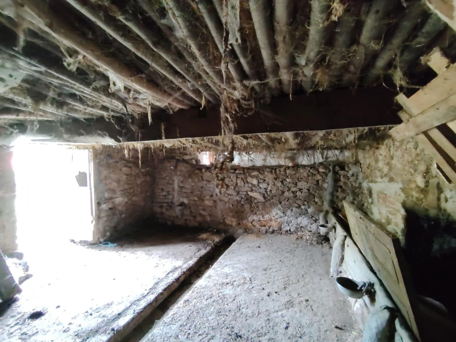 Finca tradicional asturiana en Cangas de Onís, imagen 22