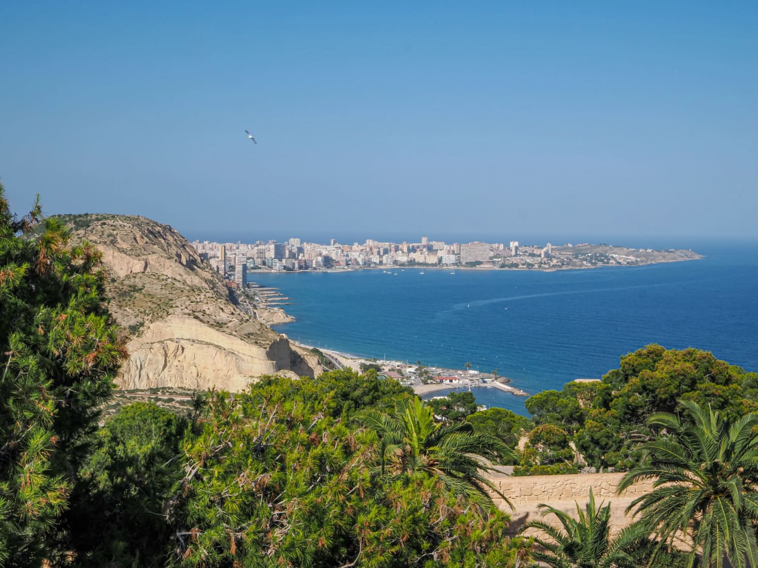 Panorámica de la costa de Alicante desde las laderas del castillo de Santa Bárbara